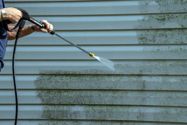 Professional Pressure Washing in Wauchula, FL