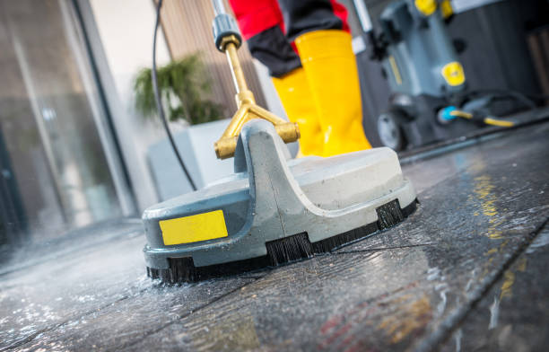 Best Roof Pressure Washing  in Wauchula, FL