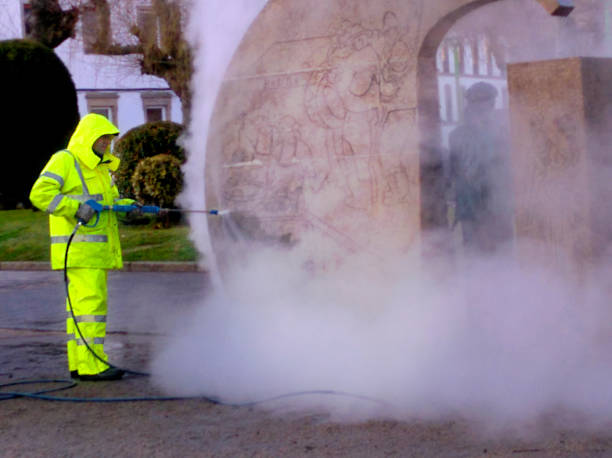 Best House Pressure Washing  in Wauchula, FL