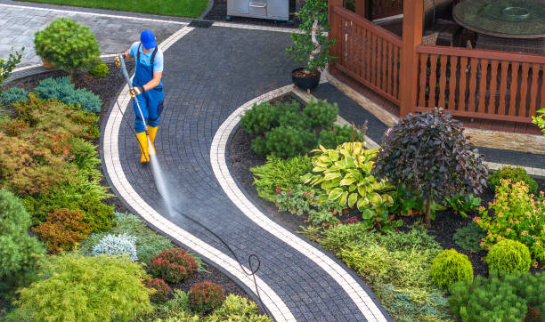 Best Exterior Home Cleaning  in Wauchula, FL
