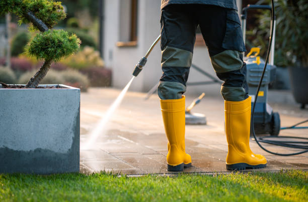 Best Exterior Home Cleaning  in Wauchula, FL